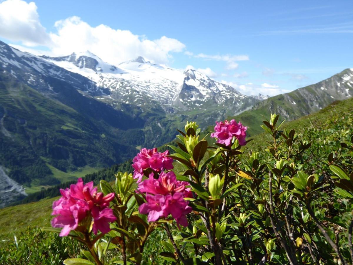 Ferienwohnung Alpenheim Tux Luaran gambar